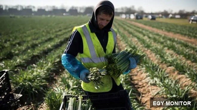 إسرائيل تعلن عدم وجود سقف زمني للعمليات في الضفة الغربية - صورة 4