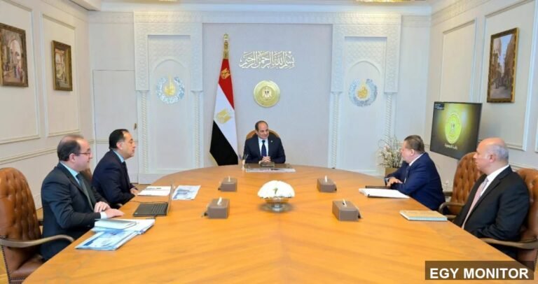 صورة تعكس تحويلات المغتربين المصريين