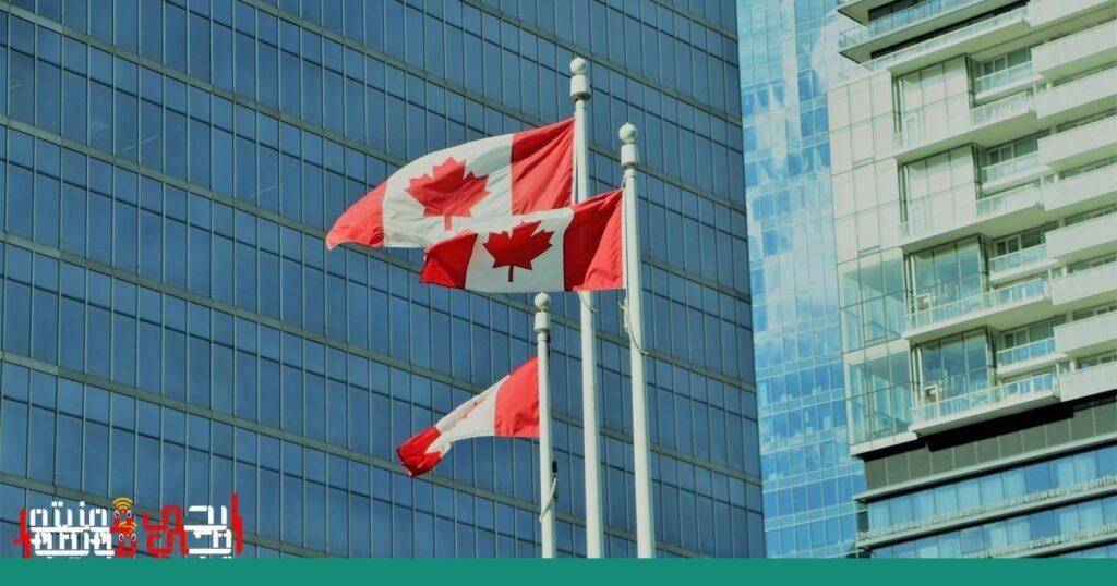 صورة: تراجع الأرباح