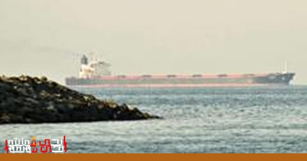 صورة: المسيرات الهجومية البحرية