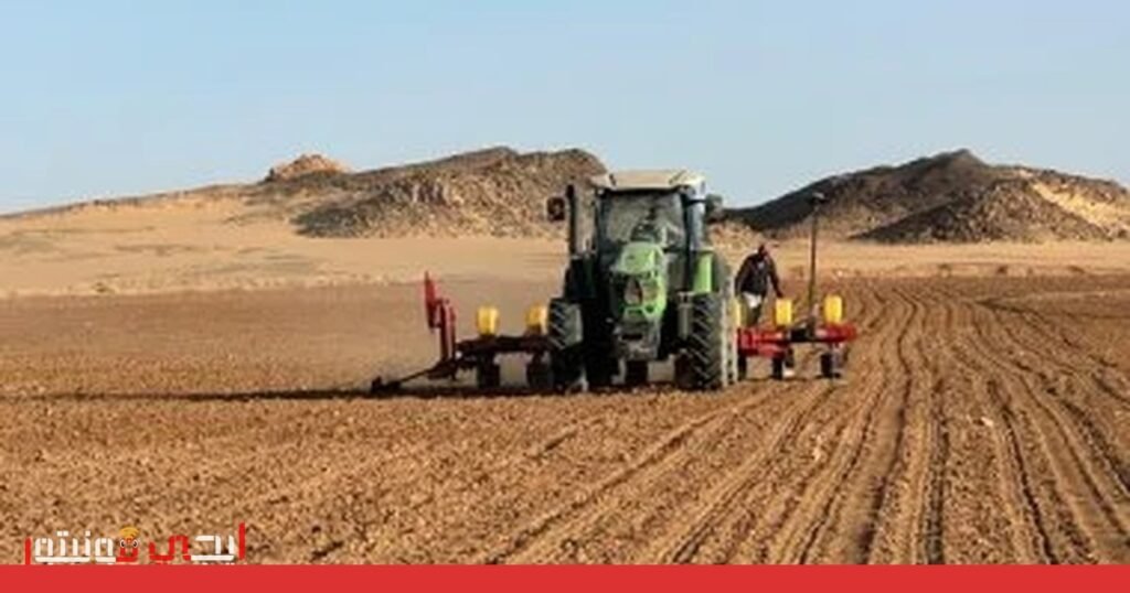 صورة: أزمة وقود الديزل