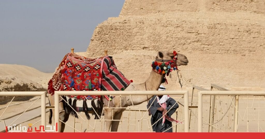 عيد الأم 2026: موعد الإجازة الرسمية في مصر صورة: عيد الأم