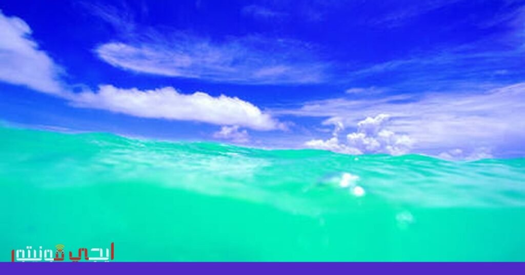 صورة: أغاني الحيتان