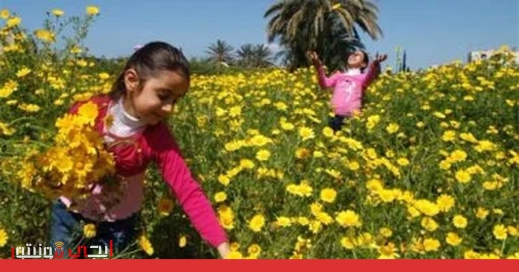 صورة: الاعتدال الربيعي