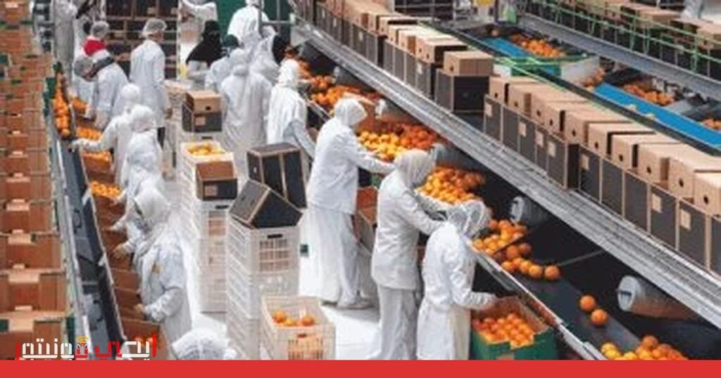 صورة: صادرات البرتقال