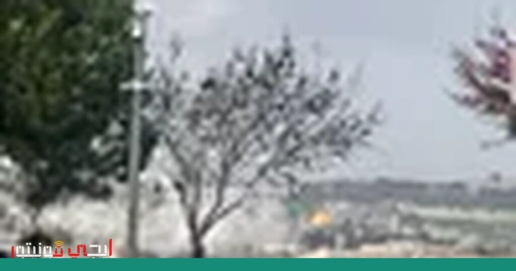 صورة: الأمان السيبراني