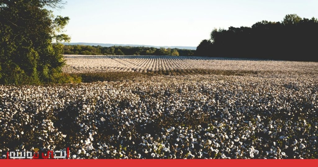 صورة: خريطة صنفية