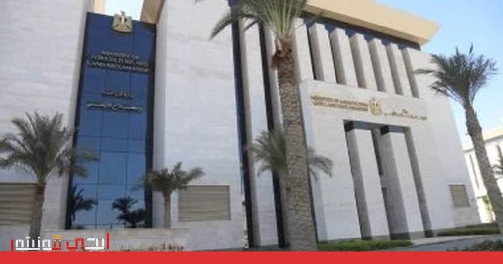 دور الدولة في ضمان سلامة الغذاء: حملات رقابية شاملة صورة: سلامة الغذاء