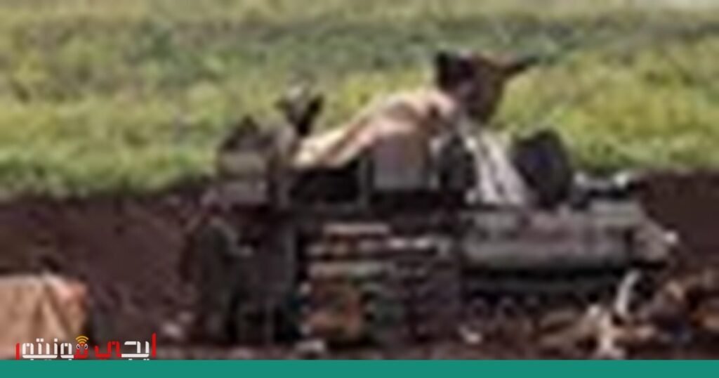 صورة: الصراع