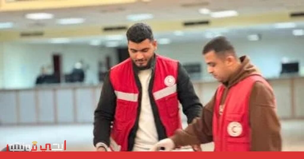 قافلة زاد العزة: جسر الأمل بين مصر وغزة صورة: قافلة زاد العزة