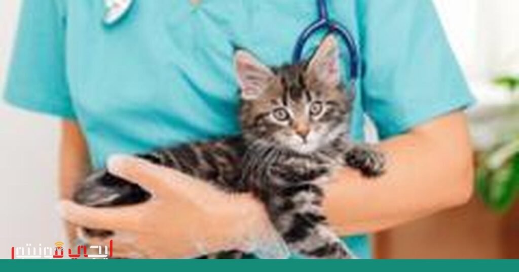 صورة: الخدمات البيطرية