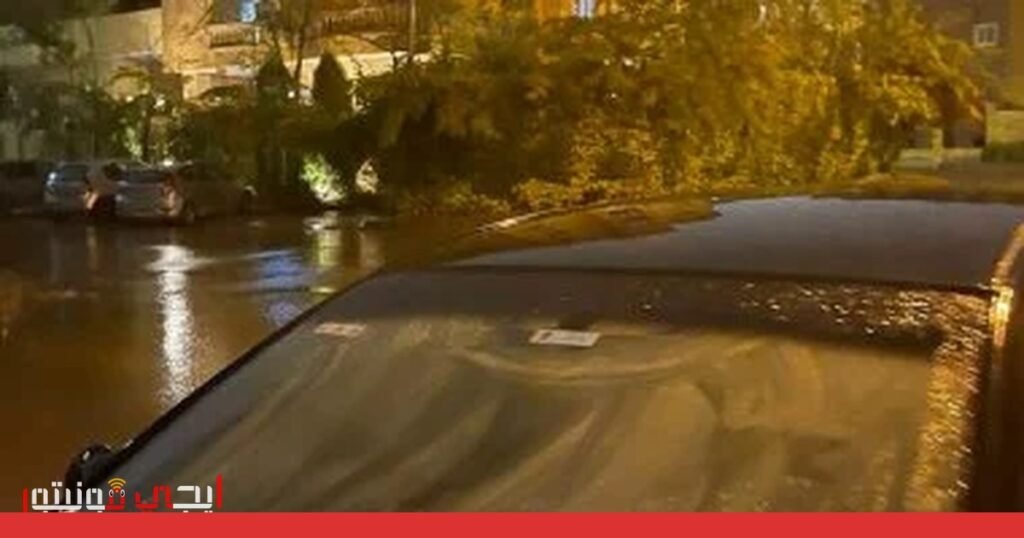 صورة: عاصفة رعدية