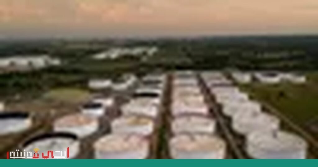 صورة: الأمان الإلكتروني