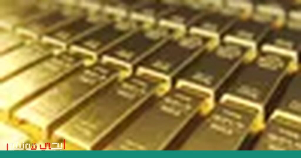 حظر موقع إلكتروني يثير استفسارات حول الأنشطة المشبوهة صورة: حظر موقع إلكتروني