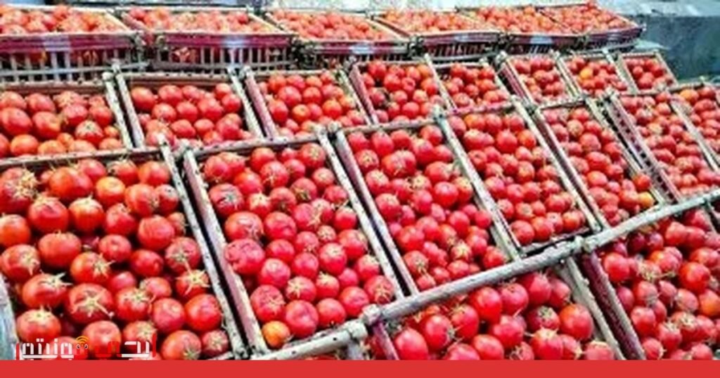 صورة: وزارة التموين