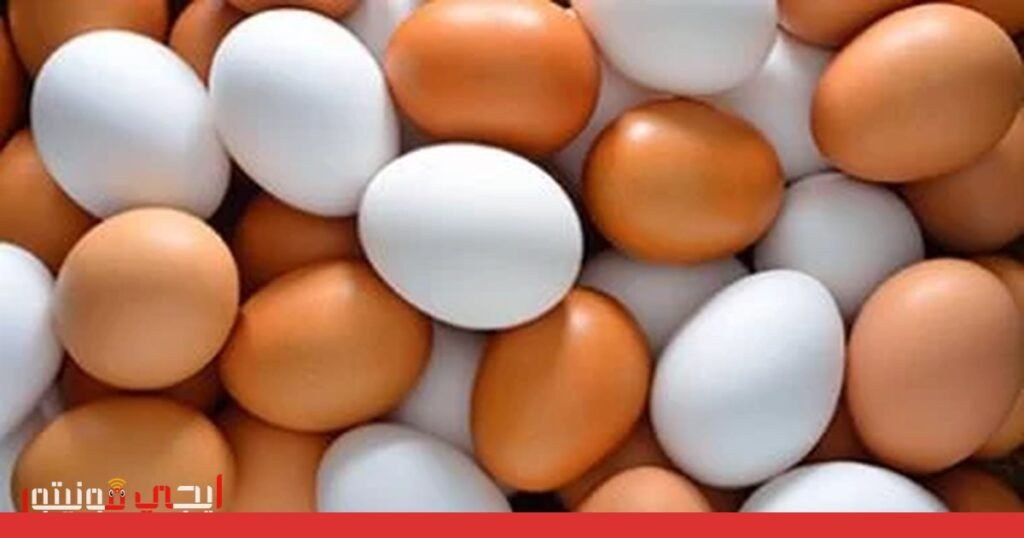 وزارة التموين تطرح بيض المائدة والسلع الغذائية بأسعار مخفضة صورة: بيض المائدة