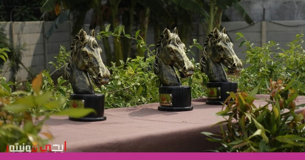 صورة: جوائز موبو