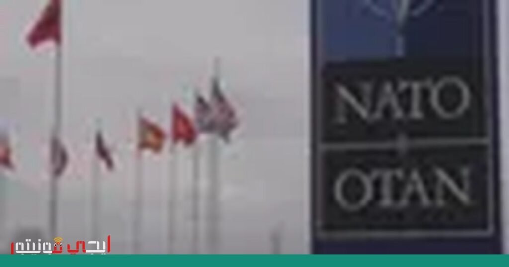 تحذيرات أمنية حول نشاط مخادع على الإنترنت صورة: الأمن السيبراني