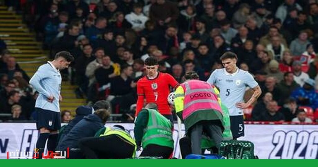 مهاجم أوروغواي ي nhận بطاقتين صفراوين ولا يتم طرده صورة: الرياضة