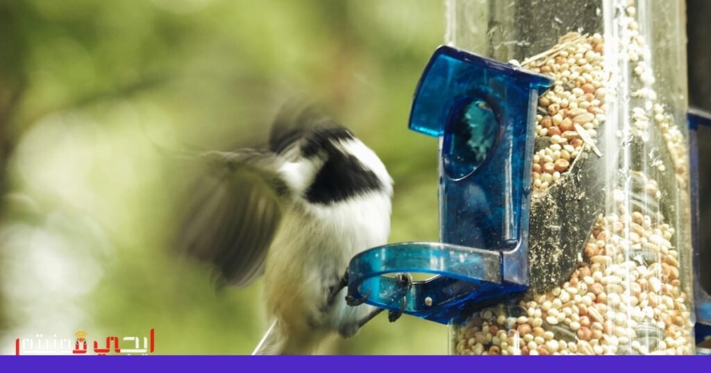 صورة: أجهزة تغذية الطيور الذكية