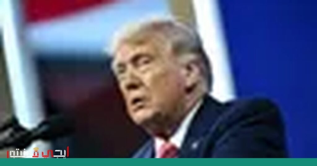 صورة: نشاط البوتات