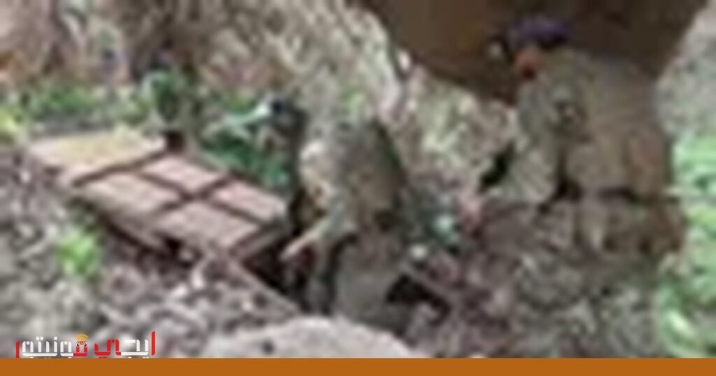 إجراءات أمنية لمنع الوصول غير المصرح به إلى المواقع الإلكترونية صورة: الأمان السيبراني