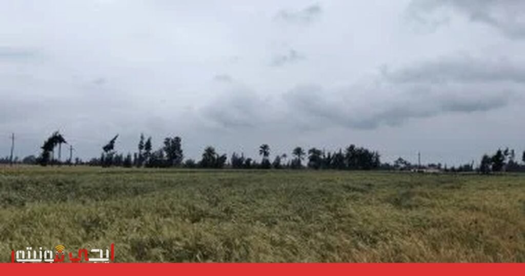 الأرصاد الجوية تتوقع استمرار السحب الرعدية الممطرة على جنوب سيناء صورة: الأرصاد الجوية