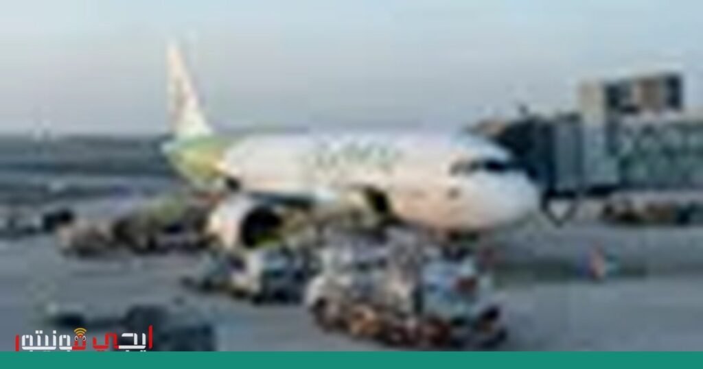 حماية المواقع الإلكترونية من البوتات: تحديات وتحسينات صورة: حماية المواقع الإلكترونية