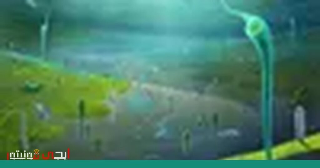 صورة: أحفورات قديمة