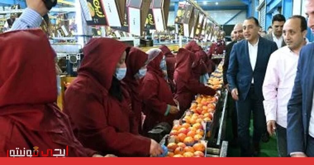 صورة: القطاع الصناعي