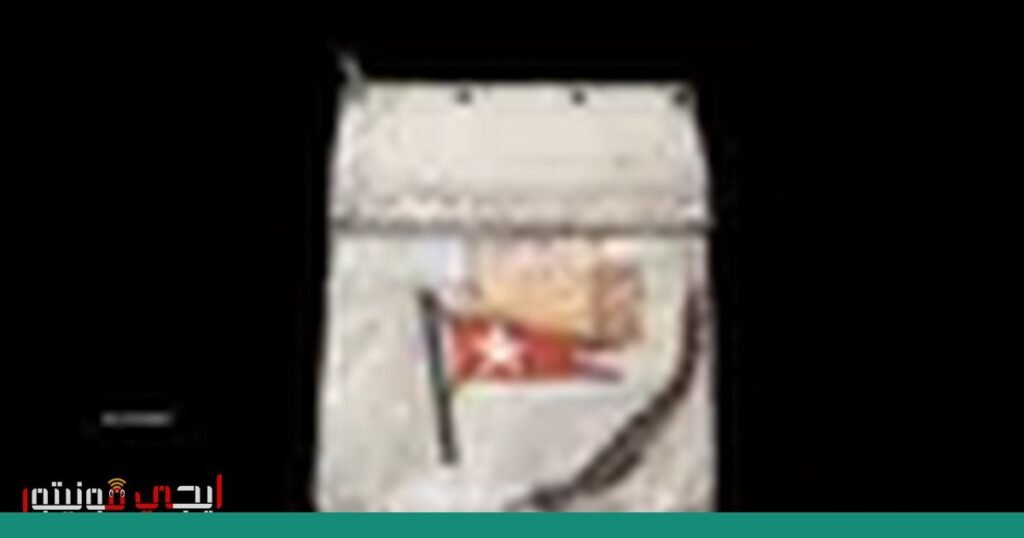 مزاد فريد لوسادة مقعد من سفينة تايتانيك صورة: سفينة تايتانيك